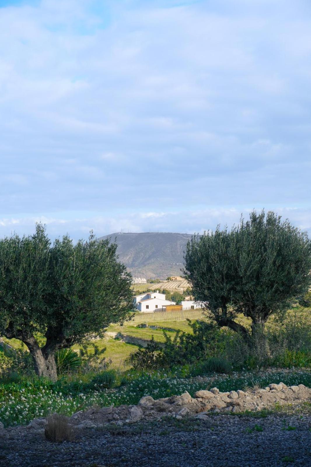 Hotel Finca Olivar بينيسا المظهر الخارجي الصورة