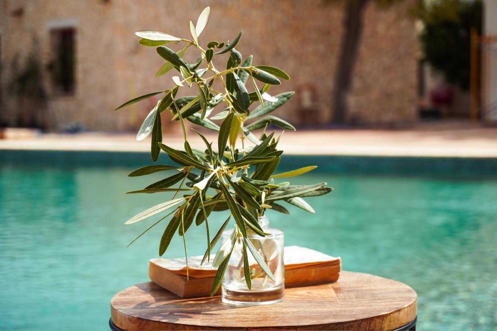 Hotel Finca Olivar بينيسا المظهر الخارجي الصورة